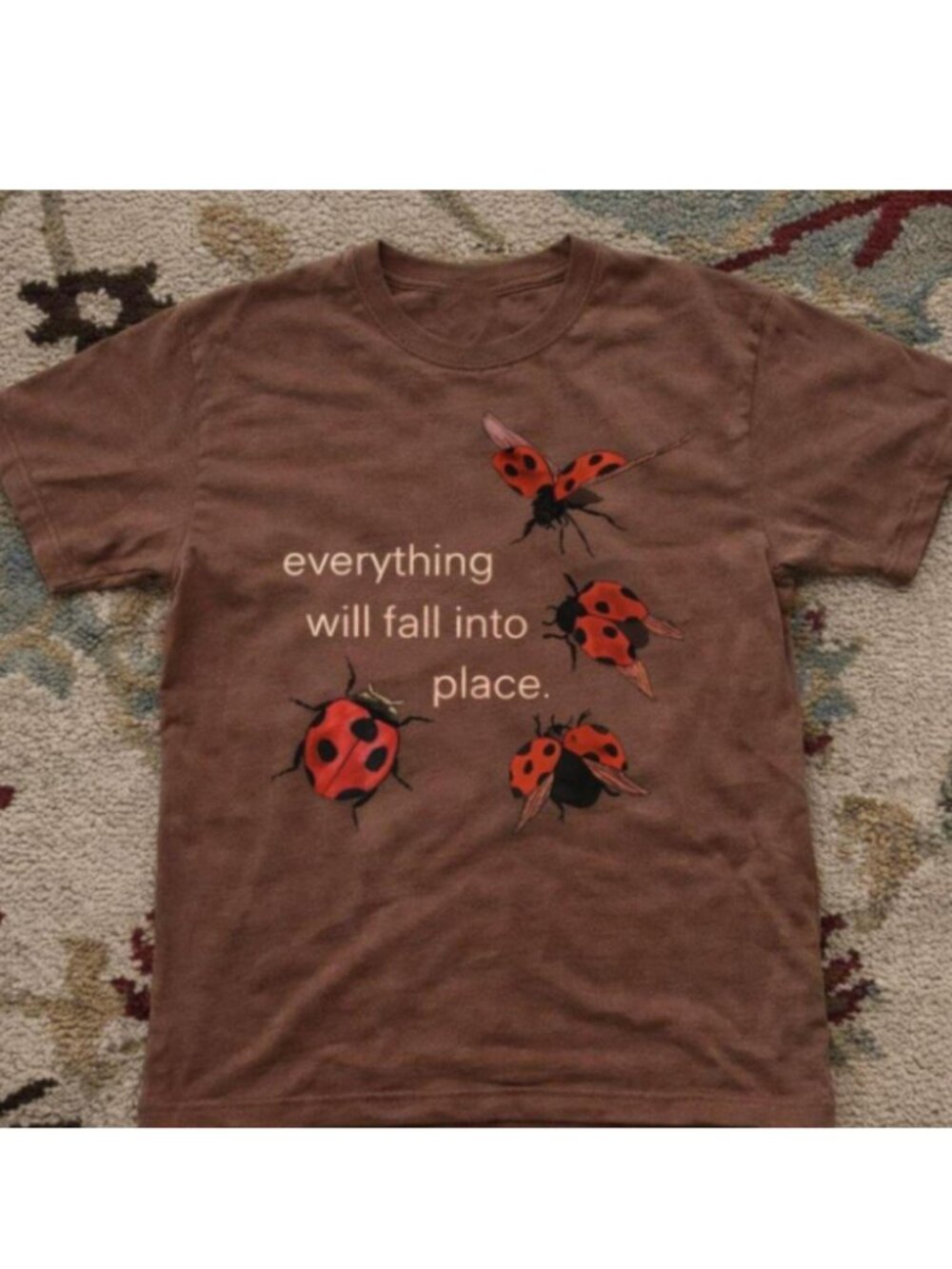 Ladybug graphic dark chocolate t-shirt